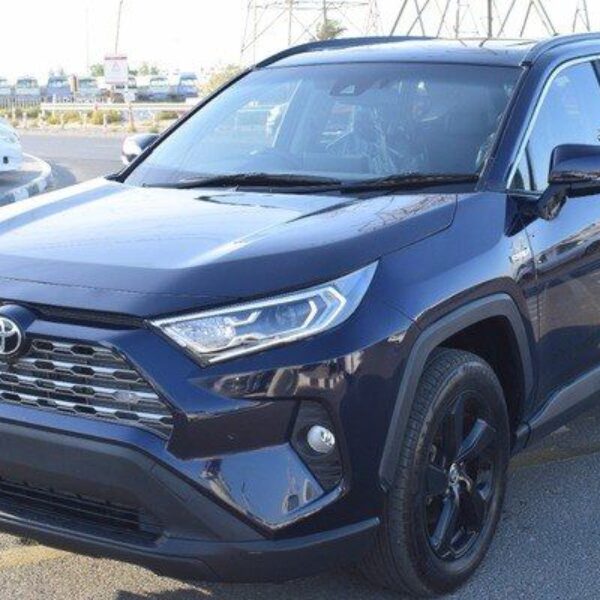 2020 TOYOTA RAV4 Blue